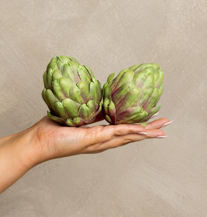 Green & Burgundy Artificial Artichoke