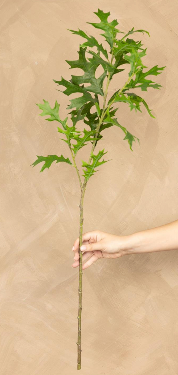Green Oak Leaf Stem