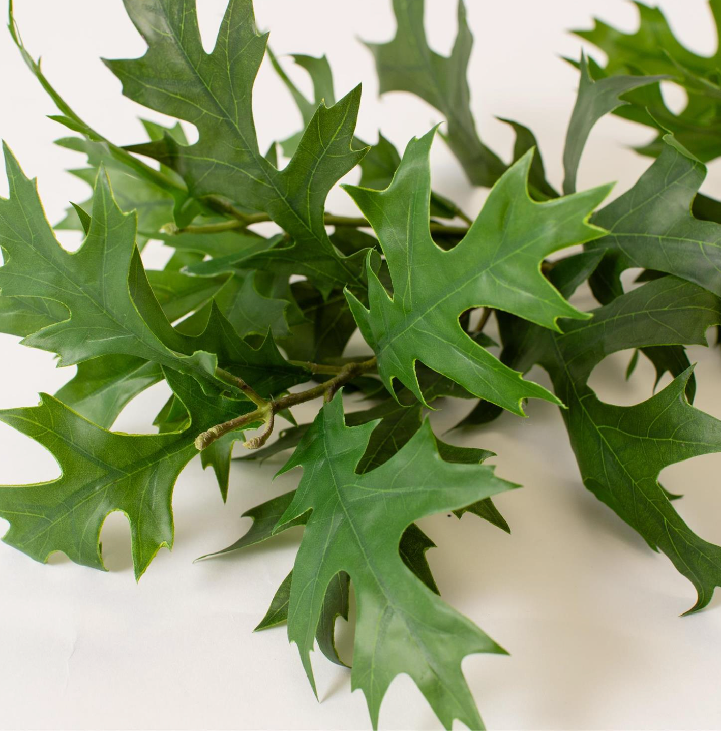 Green Oak Leaf Stem