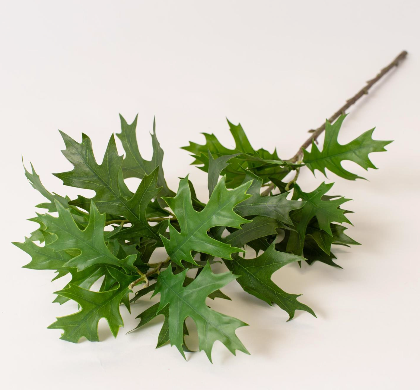 Green Oak Leaf Stem