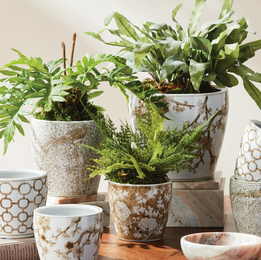 Sheng Pots