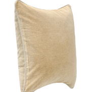 Heirloom Velvet Pillow