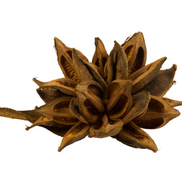 Aspen Gold Star Pod