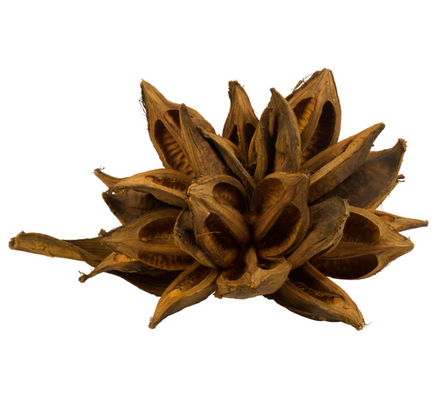 Aspen Gold Star Pod