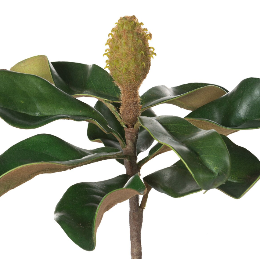 Faux Teddy Bear Magnolia Leaf Pick