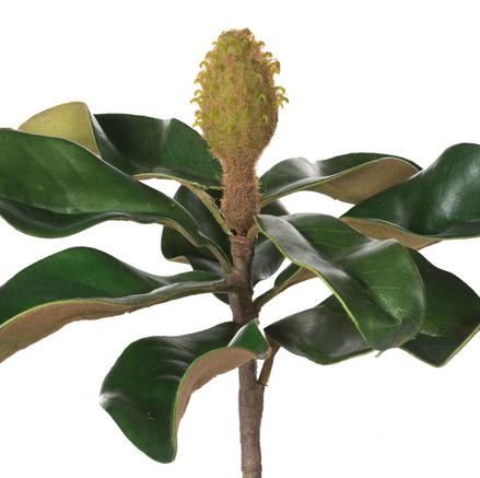 Faux Teddy Bear Magnolia Leaf Pick