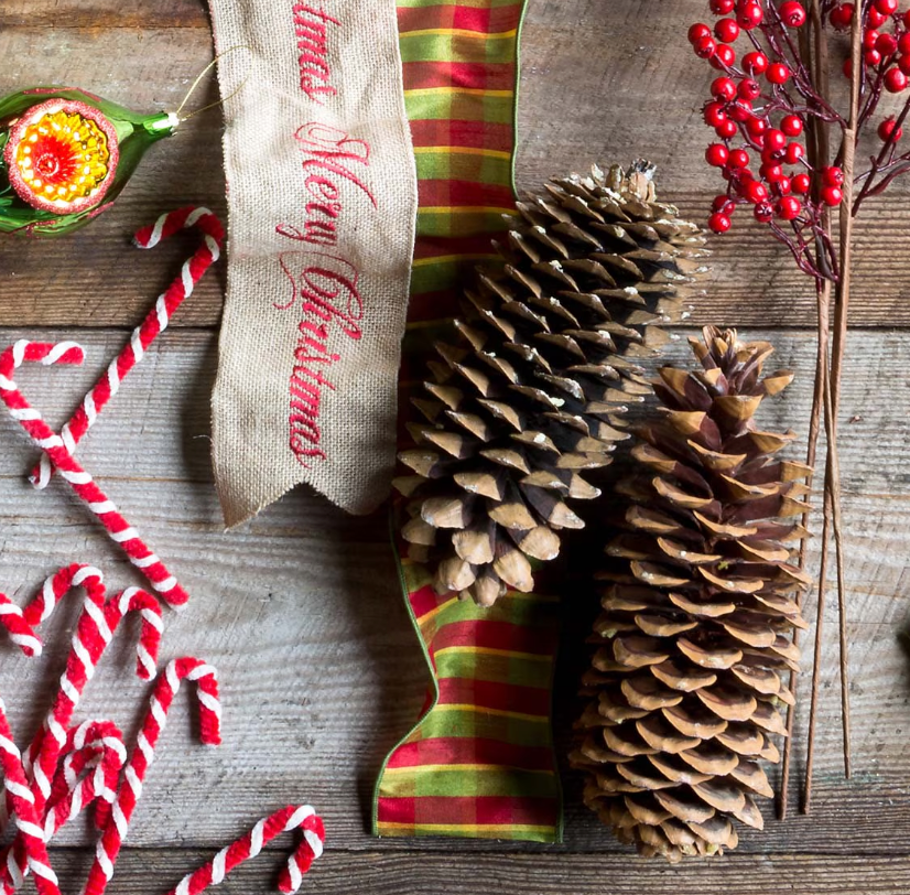 Sugar Pine Cones