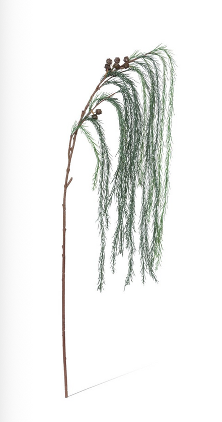 Weeping White Pine Spray