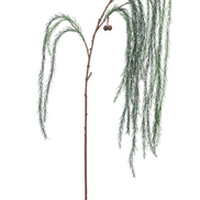 Weeping White Pine Spray