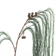 Weeping White Pine Spray