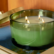 Frasier Fir Green 4 Wick Candle