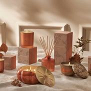 Pumpkin Laurel Petite Reed Diffuser