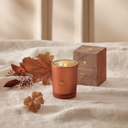 Pumpkin Laurel Votive Candle