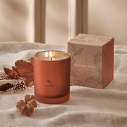 Pumpkin Laurel Boxed Candle