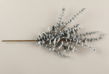 Snowy Eucalyptus Spray