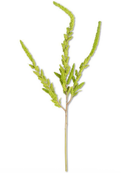 37" Amaranthus Stem