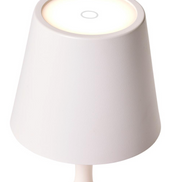 LED White Bamboo Lamp