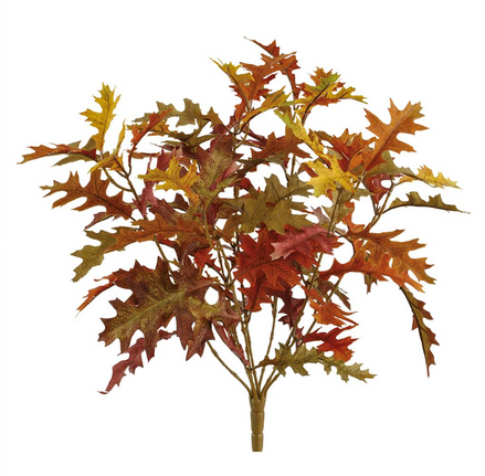 Oak Leaf Bush