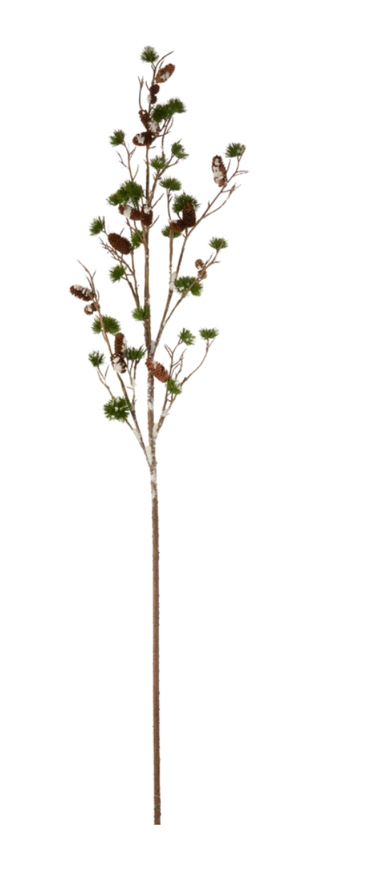 Snowy Pinecone Branch