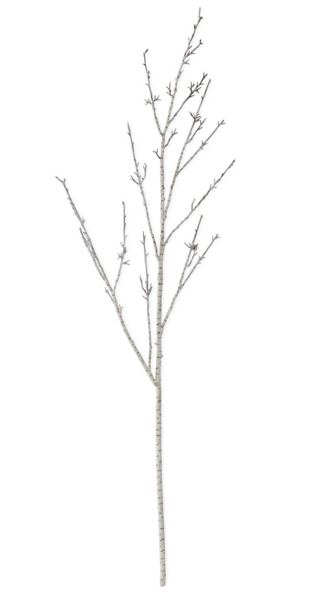 45" Birch Branch