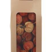 11 Inch Craft Bag of Mini Brown Orange & Yellow Pumpkins (24pc)