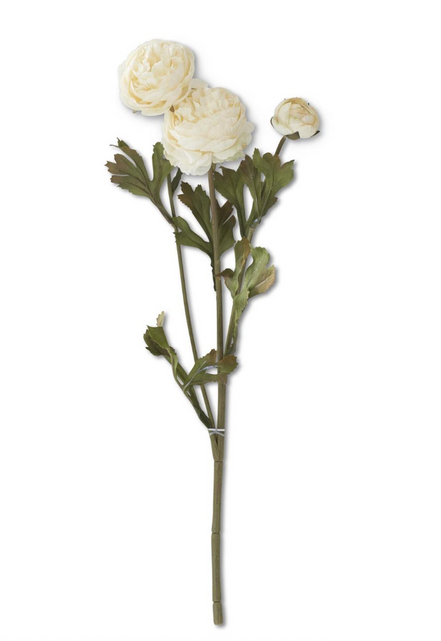 20" Two Blossom & Bud Ranunculus Stem