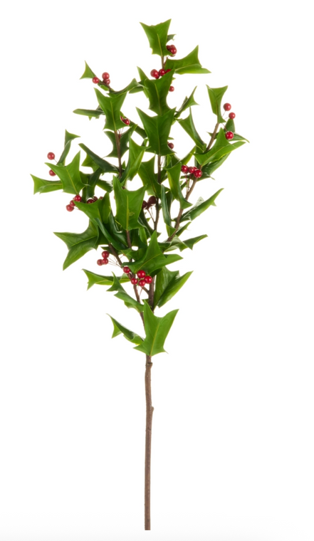 39" Holly Branch