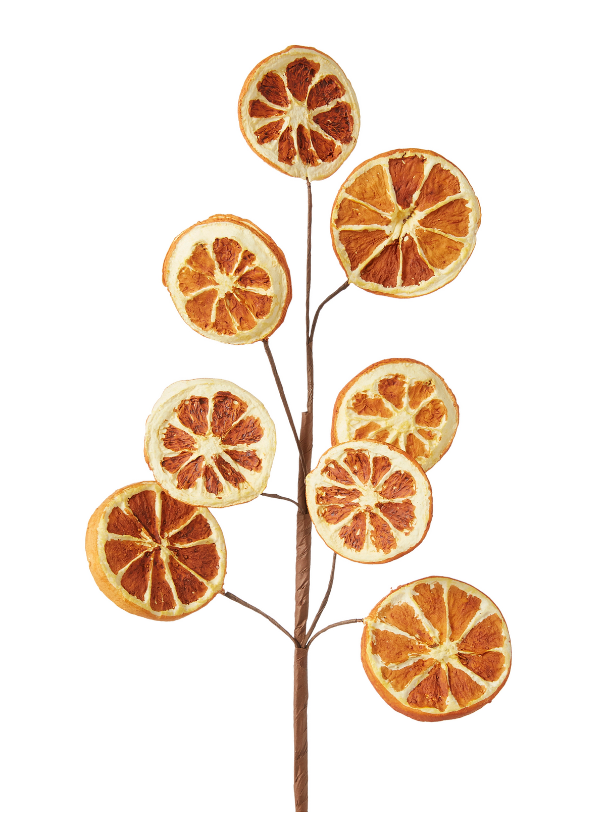 Orange Slice Spray