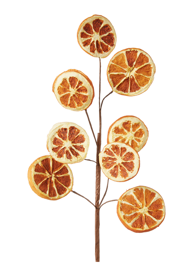 Orange Slice Spray
