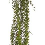 Hanging Greenery Garland