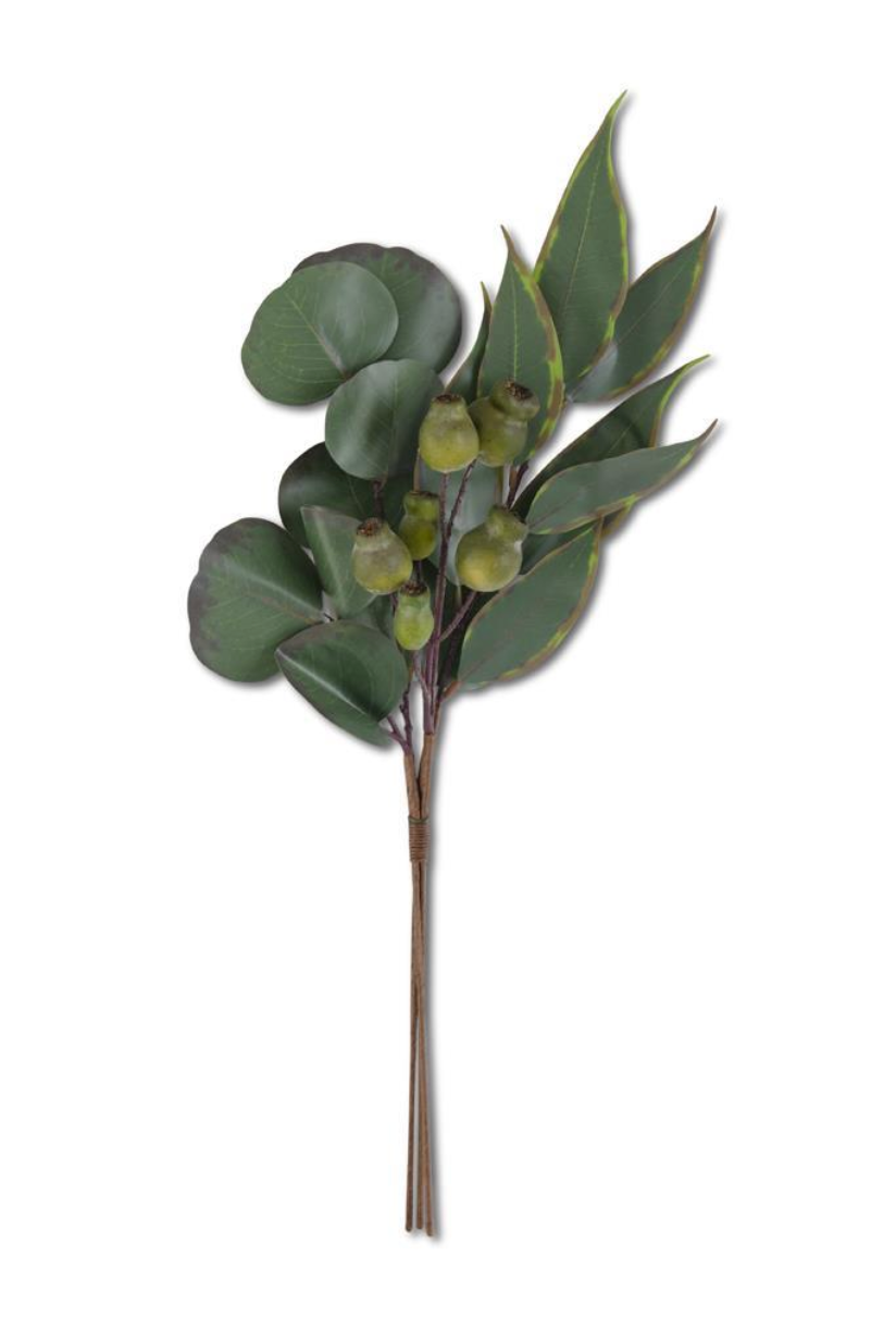 Mixed Eucalyptus Bundle