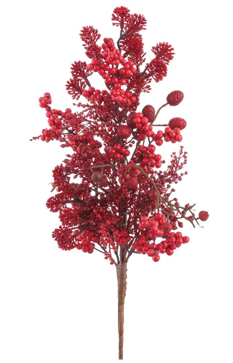 Berry/Sedum Pick