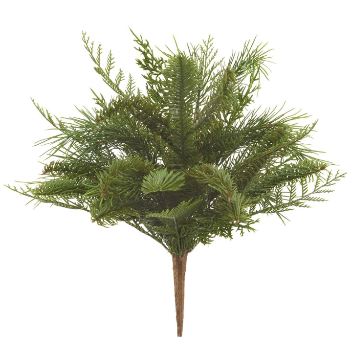 Pine & Juniper Bush