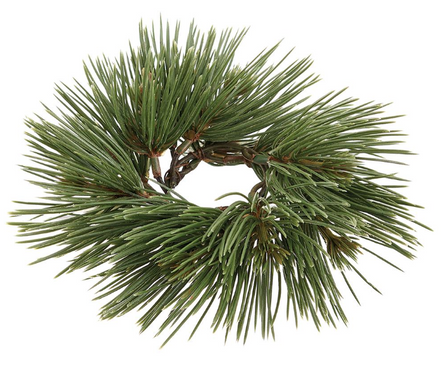 1.5" Needle Pine Taper Ring