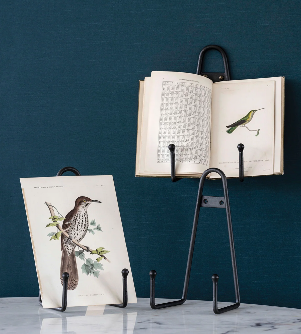 The Curator's Wall Easel