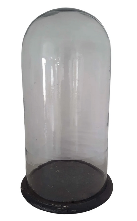 The Curator's Glass Cloche