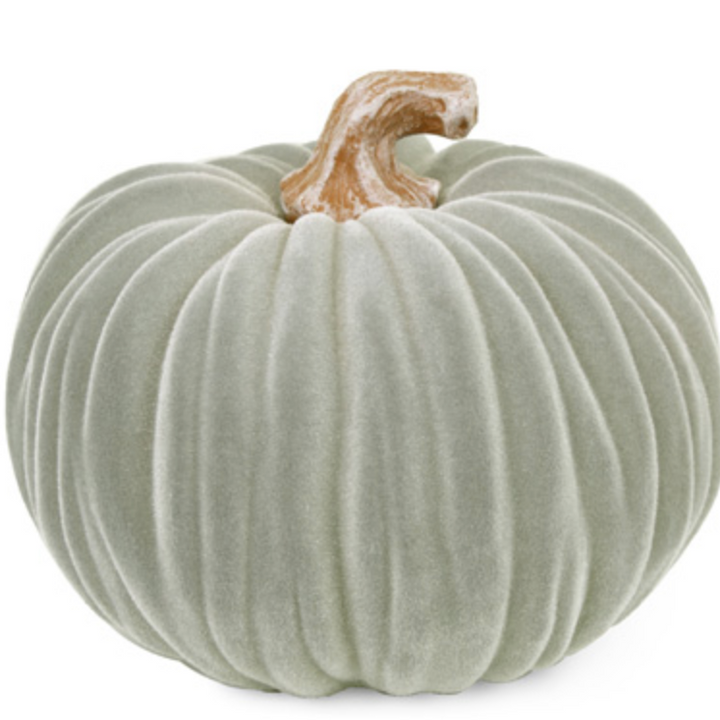 Grey Velvet Pumpkin