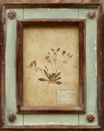Framed Botanical Prints