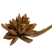 Aspen Gold Star Pod