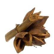 Aspen Gold Star Pod