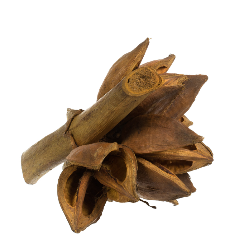 Aspen Gold Star Pod