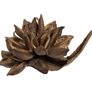 Natural Star Pod