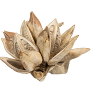 Bleached Star Pod