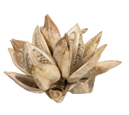 Bleached Star Pod