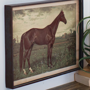 Wall Art Horse Prints Under Glass
