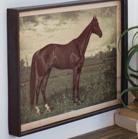 Wall Art Horse Prints Under Glass