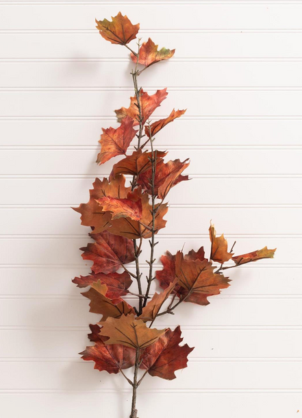 Orange Maple Leaves