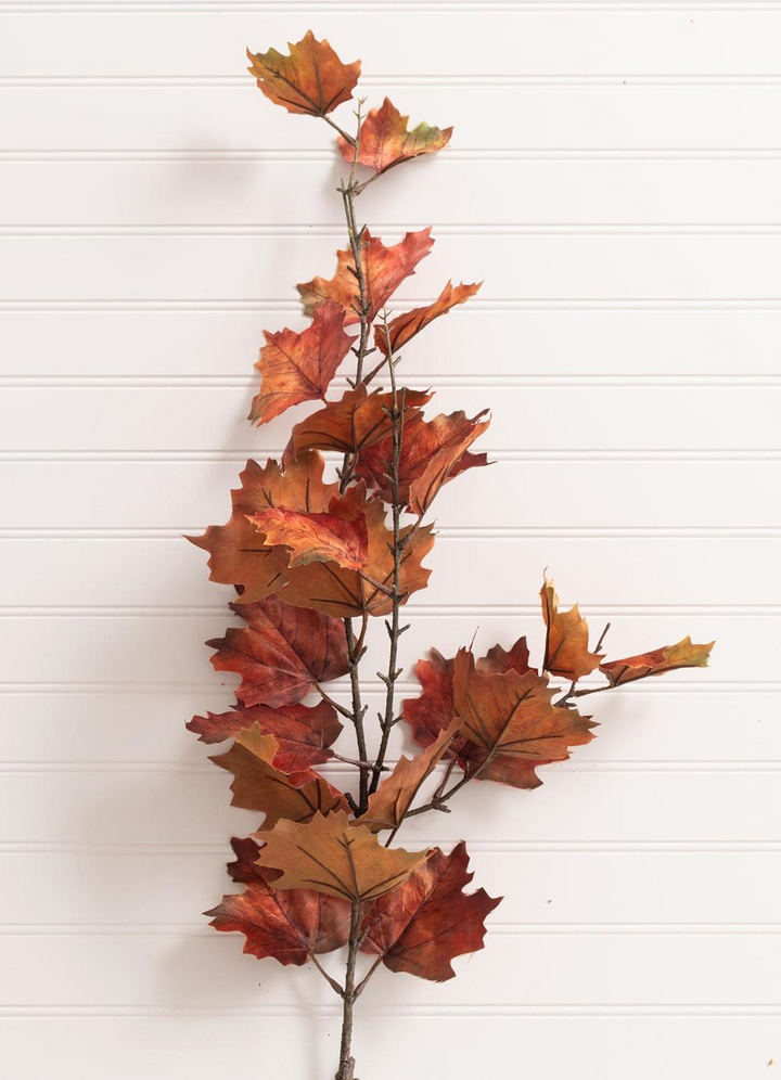 Orange Maple Leaves