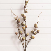 Green Acorn Stem
