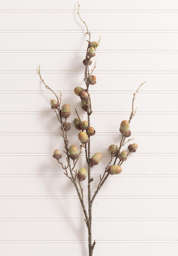 Green Acorn Stem